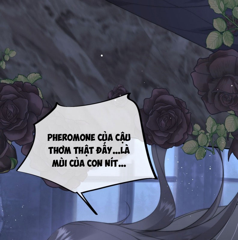 Lồng Tuyết Chapter 1 - 70